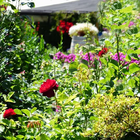 Prinz Rudolf Smart Otel