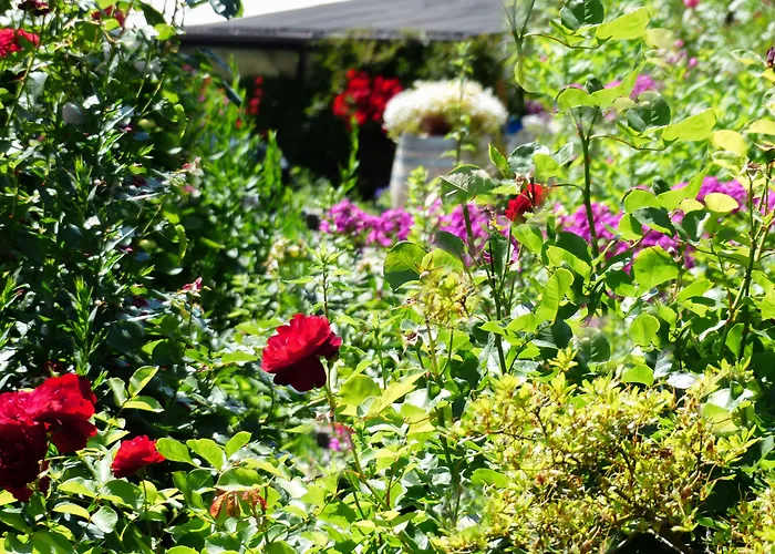 Prinz Rudolf Smart Hotel